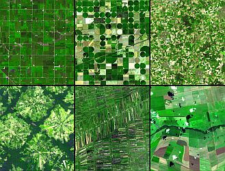 Agriculture - Aerial Photo