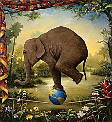 'The Perfect Balance' by Kevin Sloan.