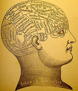 19th century phrenology chart