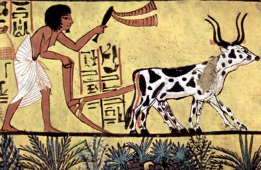 Burial chamber of Sennedjem. Scene - Plowing farmer, c. 1200 BCE