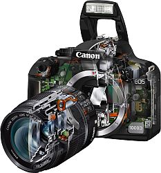 Canon 1000D Cutaway