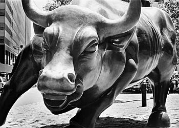 Charging Bull