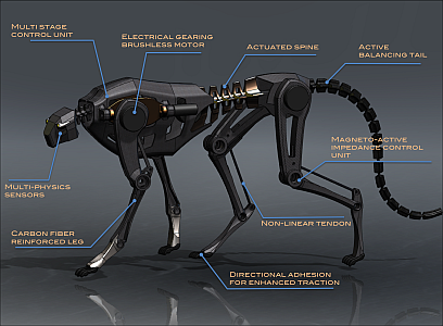 Cheetah-like Robot