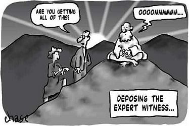 'Deposing the Expert Witness' by John Chase.