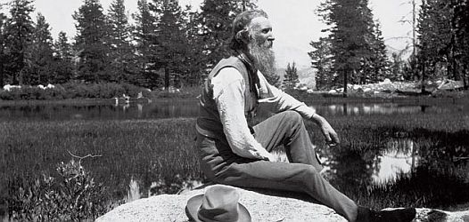 John Muir. Photo: Corbis.