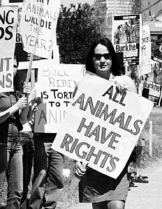 Protest in support of animal rights.